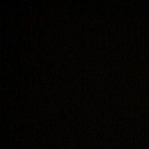 Meet your Posher, Daniela